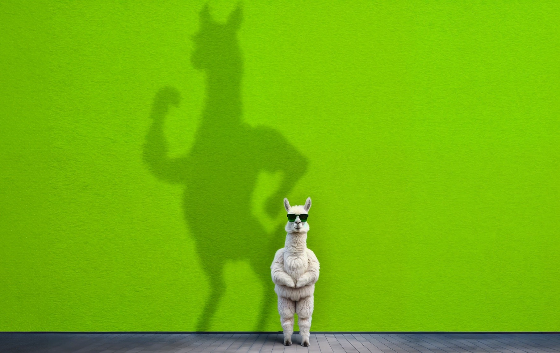 llama-3.2-1b-instruct